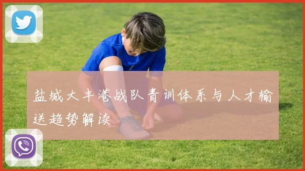 盐城大丰港战队青训体系与人才输送趋势解读