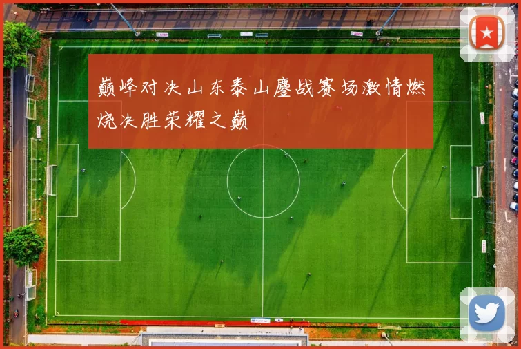 巅峰对决山东泰山鏖战赛场激情燃烧决胜荣耀之巅