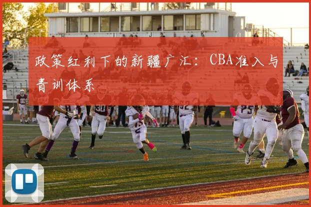 政策红利下的新疆广汇：CBA准入与青训体系