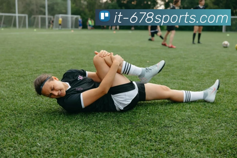 678体育平台服务体系